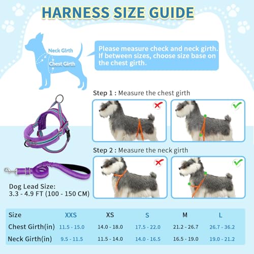 No Pull Small Dog Harness and Leash Set with Front Clip (Medium / Purple)