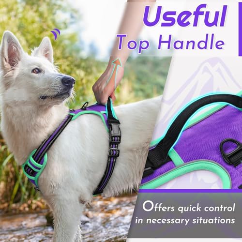 Dog Harness for Small Dogs (Small / Purple & Turquoise)