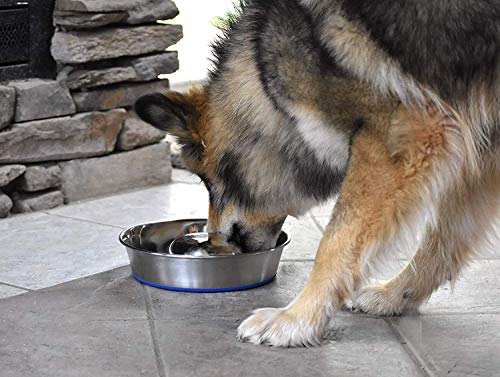 OurPets DuraPet Slow Feed Premium Stainless Steel Bowl (Medium (4.5 Cups))