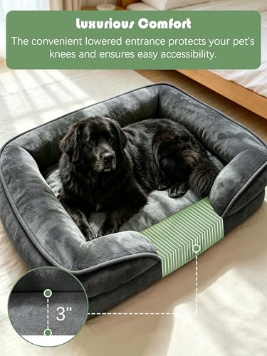 Orthopedic Dog Bed with Sides (53.0"L x 42.0"W x 8.0"Th / Dark Grey)