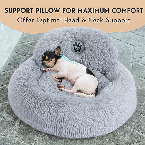 PetJett Small Dog Bed (Bright Grey / Small - 23”L x 23”W x 8”Th)