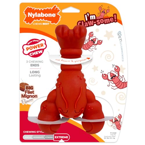 Lobster Power Chew Toy for Dogs (Lobster 1 Pack / X-Large)