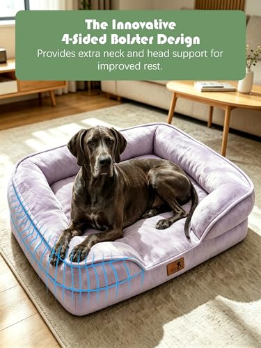 Orthopedic Dog Bed with Sides (53.0"L x 42.0"W x 8.0"Th / Purple)