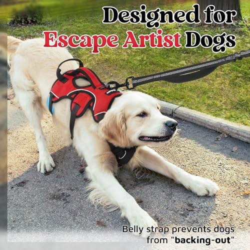Escape Proof Dog Harness for Medium (Red / Medium)