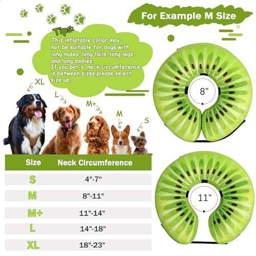 Recovery Donut Collar for Dogs & Cat (Kiwi / M（neck 8"-11"）)