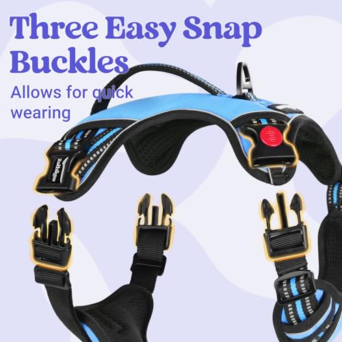 Large Dog Harness (Medium / Light Blue)