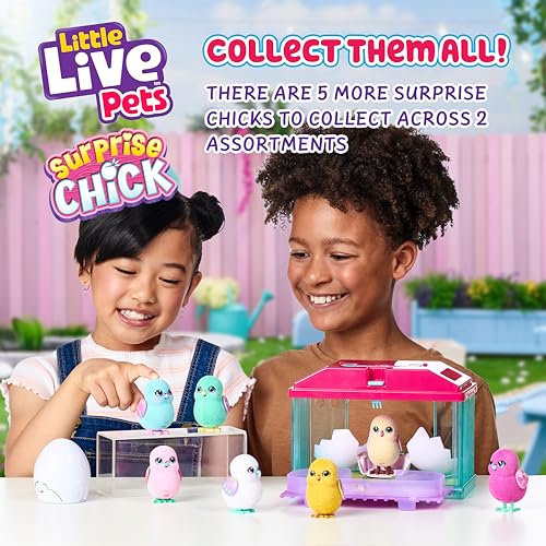 Toy Chicken Coop (Surprise Chick)