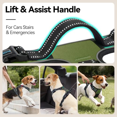No Pull Dog Harness with Handle Front & Back Clip (Small / Misty Green)