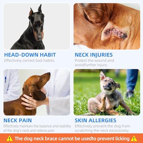 Dog Neck Brace for Pet After Surgery Recovery Adjustable Breathable Neck Cervical Cone (Gray / XS)