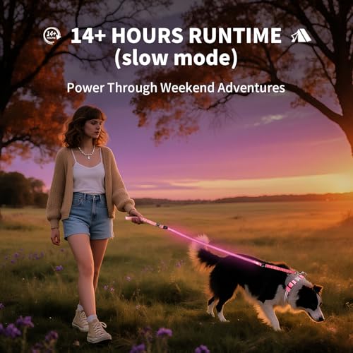 LED Dog Leash (Pink / 6 feet)