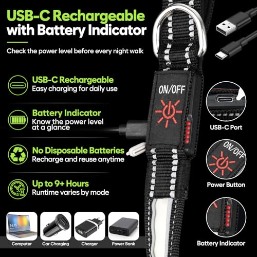 5 Ft LED Dog Leash (5 Ft)