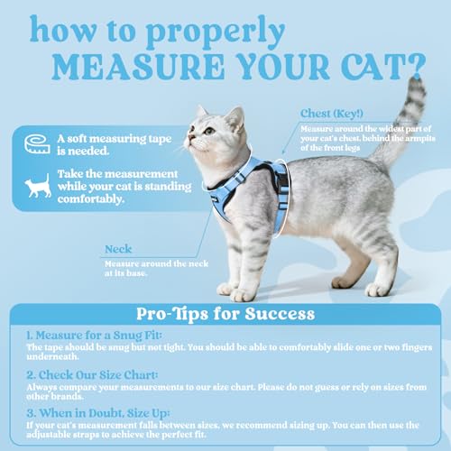 Cat Harness and Leash Set (S / Light Blue)