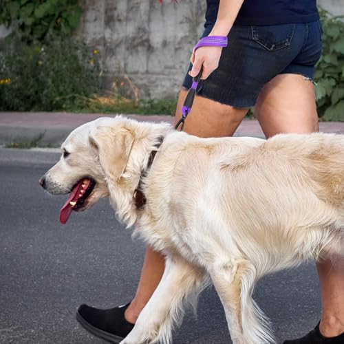 Reflective Short Dog Leashes 3 Pack for Walking and Training (Purple / 1FT+1.5FT+2.5FT)