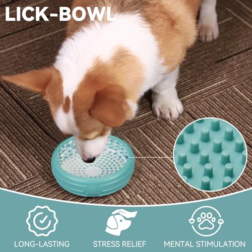 Dog Lick Bowl (L / Teal)