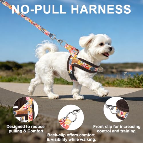 Small Dog Harness and Leash Set (Fall Leaves / S: Chest 17.5"-22")