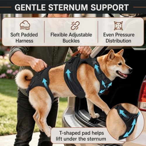 Dog Lift Harness for Senior and Injured Dogs (L)