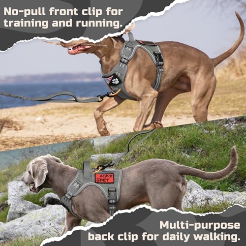 Tactical Dog Harness for Large (Grey / Large)