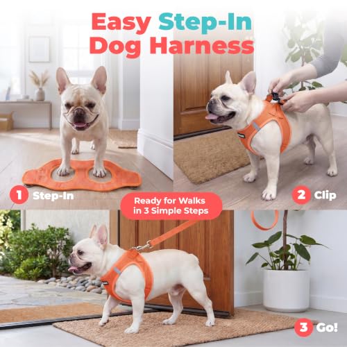 Voyager Step in Air Dog Vest Harness (Orange / S (Chest: 14.5 - 16"))