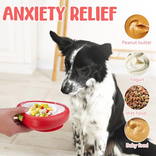 Freeze Dog Lick Bowl (S / B- Red)