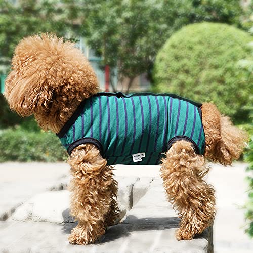 Dog’s Recovery Suit Post Surgery Shirt for Puppy (Small / green black stripe)