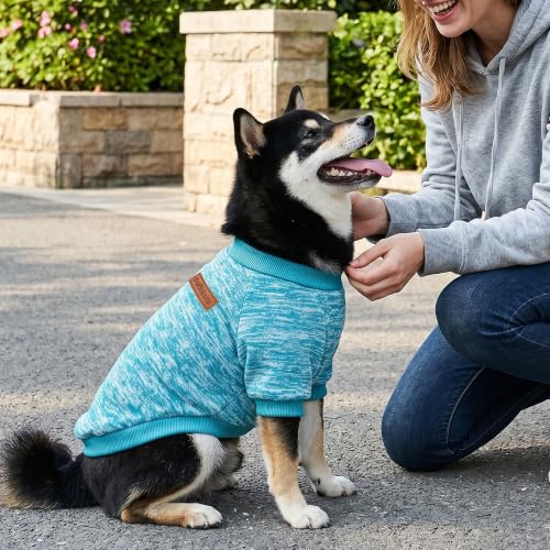 2 Pack Dog Sweaters for Small Dogs Girl Boy Winter Fleece Clothes Warm Soft Dog Sweatshirt Outfit for Dogs Cats Pet Apparel (Light Blue+Matcha Green / M (Back: 13.7", Chest: 17.7", 10-14 lbs))