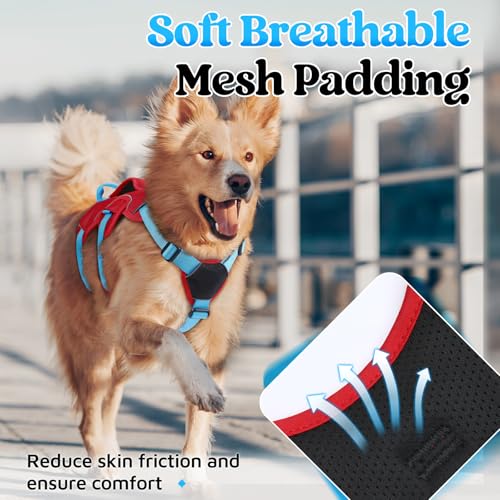 Escape Proof Dog Harness for X (Sky Blue & Red / X-Large)