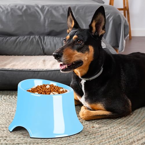 Non Slip Elevated Dog Bowl (S/1 Cup / Blue)