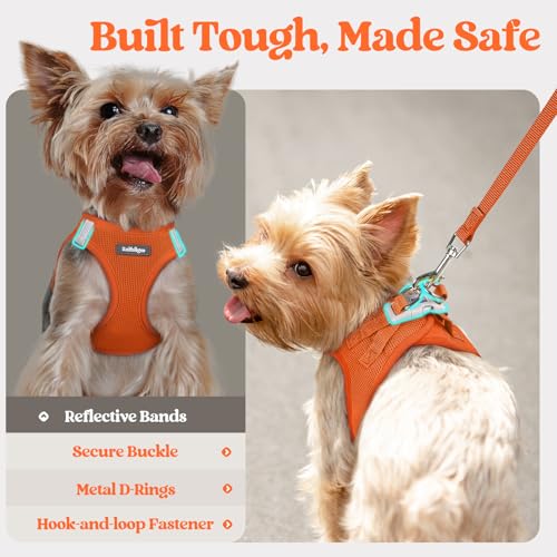 Dog Harness Medium Sized and Leash Set (Orange / Xl (chest: 20 - 21.8"))