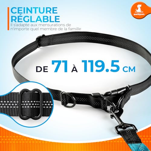 Hands Free Dog Leash (Blue / 1 dog M/L)