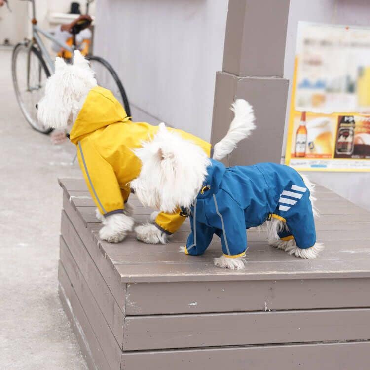 Dog Raincoat Waterproof Dog Rain Jacket with Hood (Bule / Small)