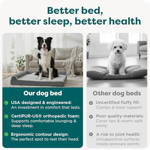 Orthopedic Dog Bed for Large Dogs (Large / Stone Gray)