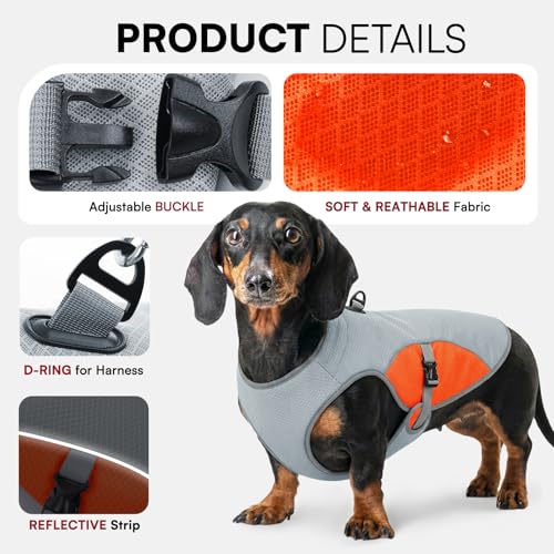 Cooling Vest for Extra (Orange / X-Large)