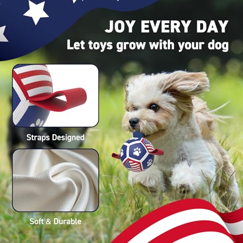 Puppy Balls Small Dog Toys (Flag / 3.5 Inch)