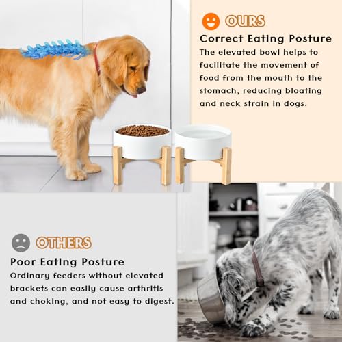 Ceramic Elevated Dog Bowls 2 Pack (Small - 1.7 CUPS*2 / White)