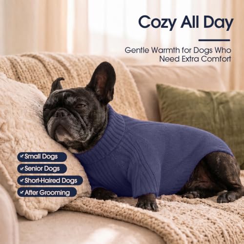 Small Dog Sweater (Blue / Large)