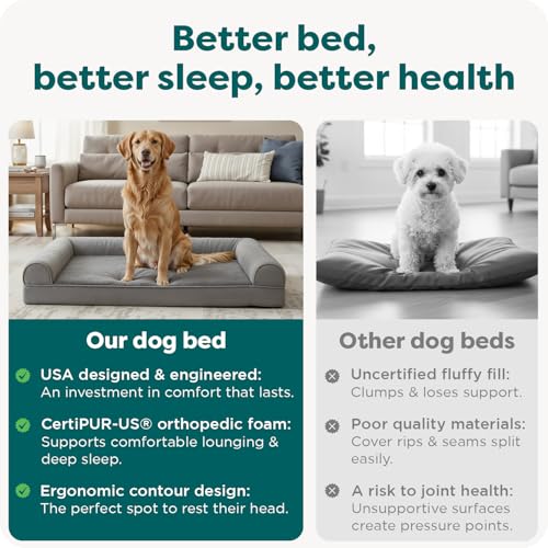 Orthopedic Dog Bed for Large Dogs w (Jumbo / Gray)