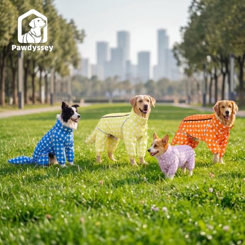 Polka Dot Dog Raincoat (Orange / Large)