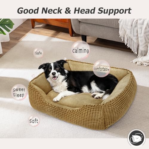 Rectangle Washable Orthopedic Dog Bed for Small (Dark Brown / S(20’’x 19’’x 6’’))