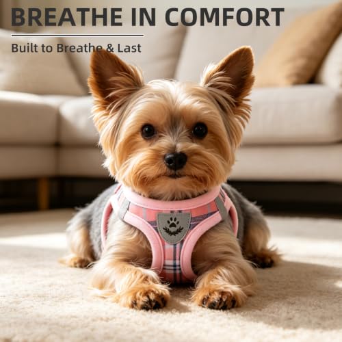 Dog Harness Collar and Leash Set No Pull for Small Medium Sized (Pink / S (CHEST 14.5"-16"))