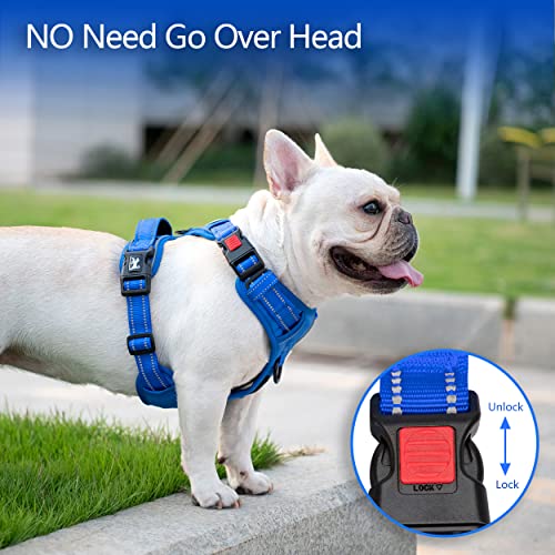 No Pull Dog Harness (Large / Royal Blue)