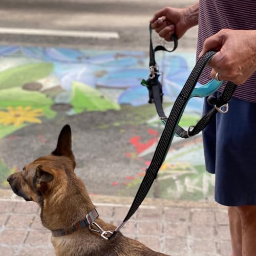 Heavy Duty Dog Leash for Large Dogs (Violet)