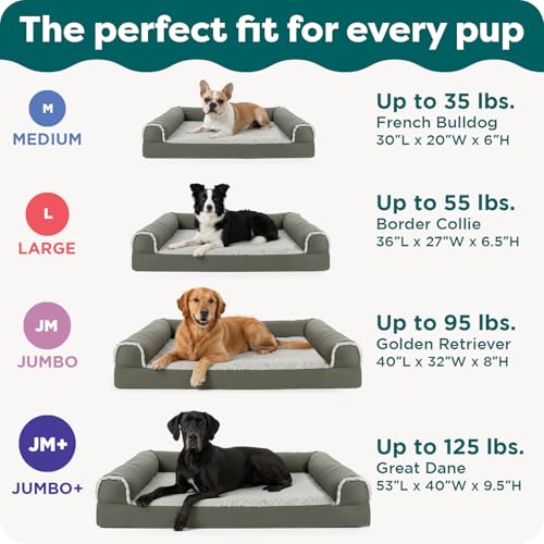 Orthopedic Dog Bed for Large (Large / Charcoal)