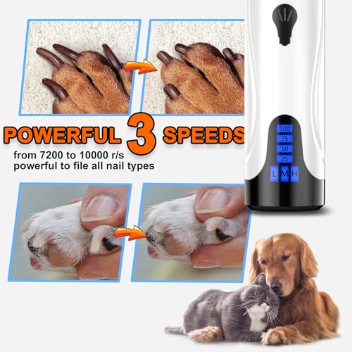 Dog Nail Trimmers and Dog Nail Clippers Kit (Black)