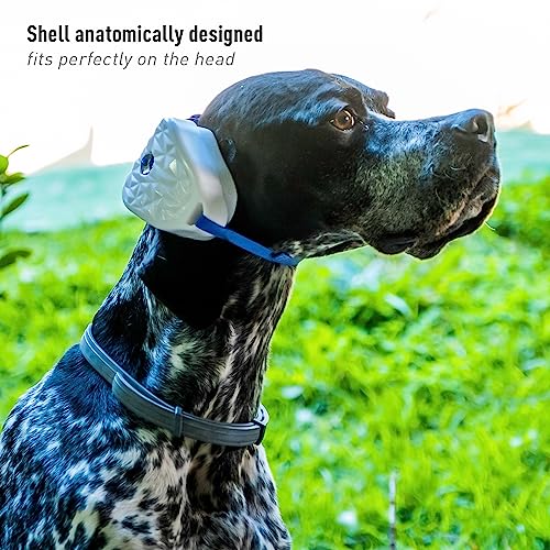 DogPhones Noise (Medium)