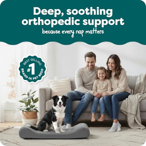 Orthopedic Dog Bed for Large Dogs (Large / Gray)