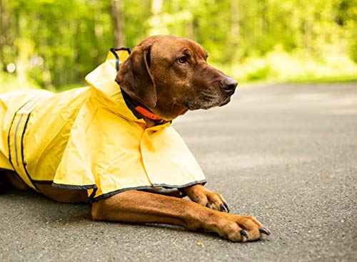 SPOT Rainy Days Slicker (XXL)