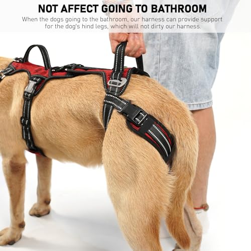 Mobility Dog Lift Harness (Red / S)