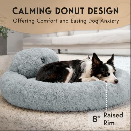 PetJett Dog Beds Large Sized Dog (Bright Grey / Large - 36”L x 36”W x 8”Th)