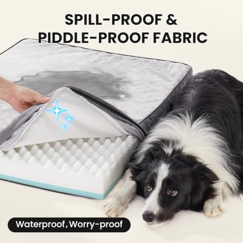 Orthopedic Waterproof Med Large Dog Bed (35" x 22" x 3.5" (For Crate) / 01-Gray)