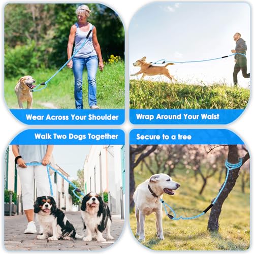Hands Free Dog Leash (Blue Diagonal Stripe)